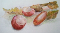 http://www.brigittepovel.nl-kunstzinnige-therapie-waarnemend-tekenen http://www.brigittepovel.nl-kunstzinnige-therapie-waarnemend-tekenen